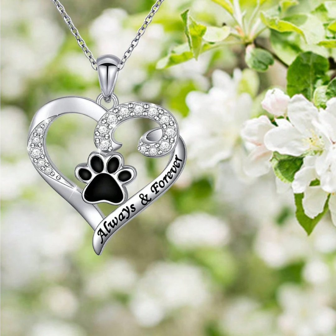 Hund klo halsband – hjärtdesign i rostfritt stål med zirkonia