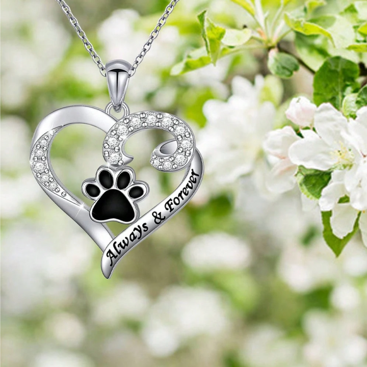 Hund klo halsband – hjärtdesign i rostfritt stål med zirkonia